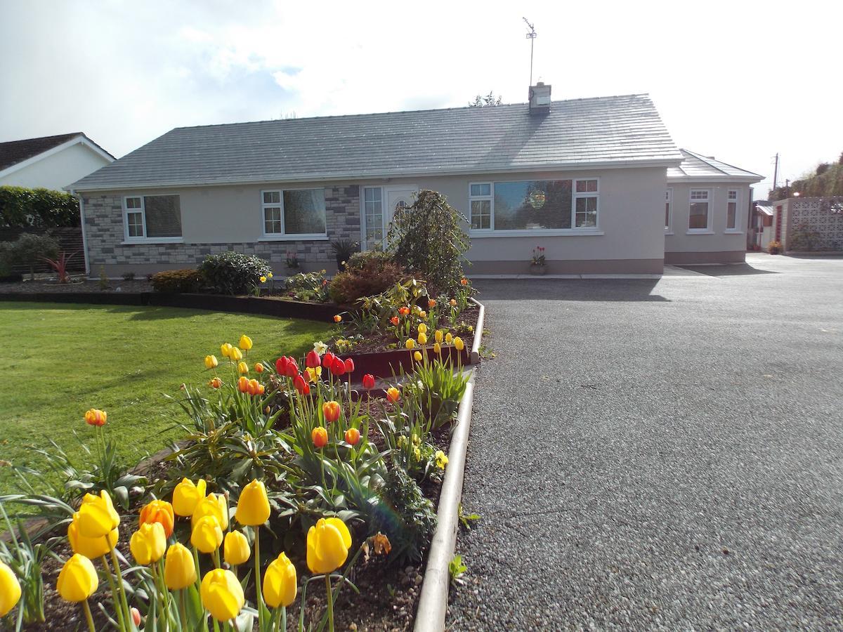 Barrow View Accommodation Mountmellick Dış mekan fotoğraf