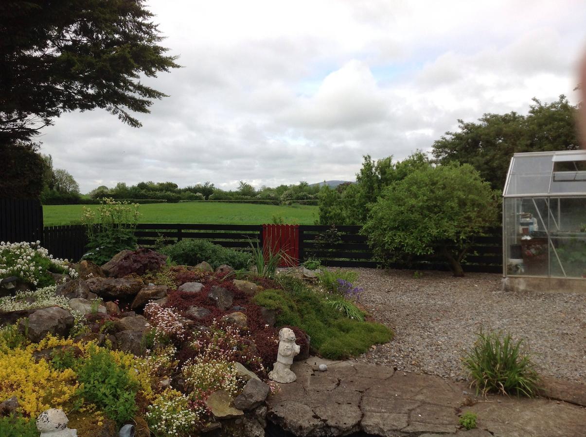 Barrow View Accommodation Mountmellick Dış mekan fotoğraf